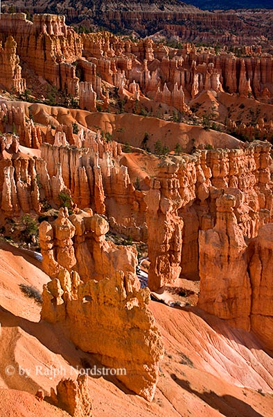 Bryce Canyon Sunrise, Bryce Canyon National Park, Utah