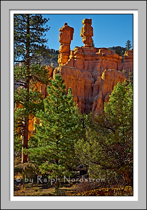 Red Canyon