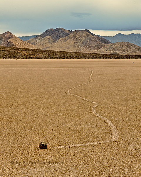 Wandered, Death Valley National Park, California