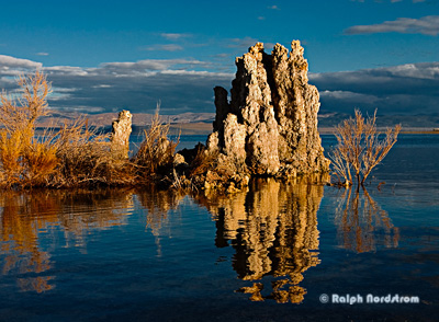 Mono Lake Tufa, Mono Lake, Eastern Sierra, California