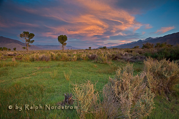 Owens Valley, Eastern Sierra, CA