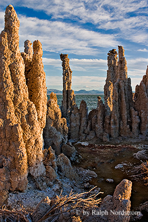 Tufa Sanctuary, Mono Lake, Eastern Sierra, California