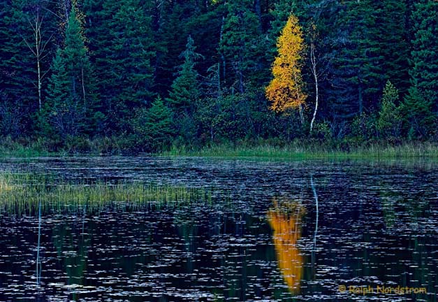 Minnesota Pond, Minnesota