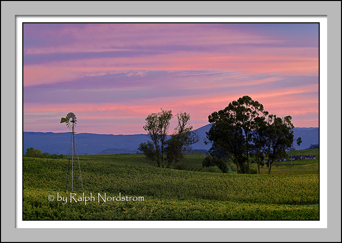 Napa Light, Napa Valley, California