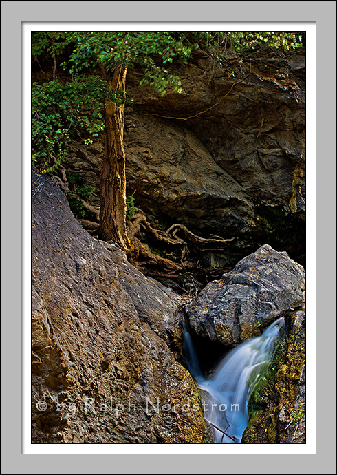 Salmon Creek