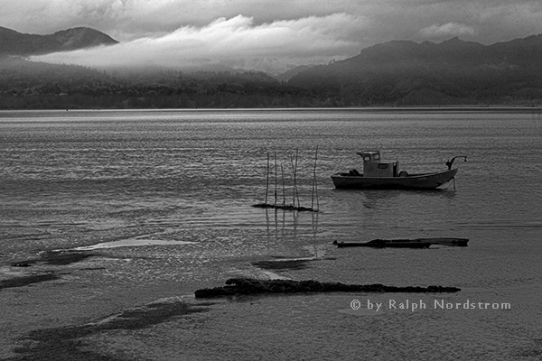 Tilamook Bay, Oregon