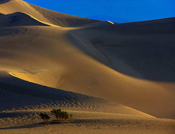 Mesquite Dunes