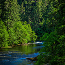North Umpqua River